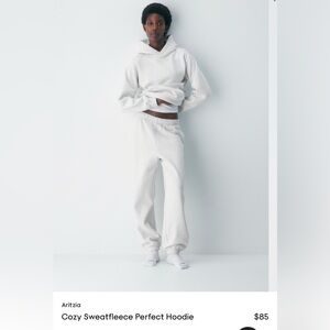 Aritzia - Cozy perfect hoodie